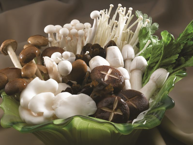 mushroom28.jpg