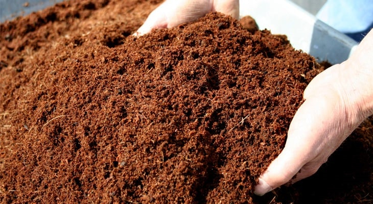 coconut-coir.jpg