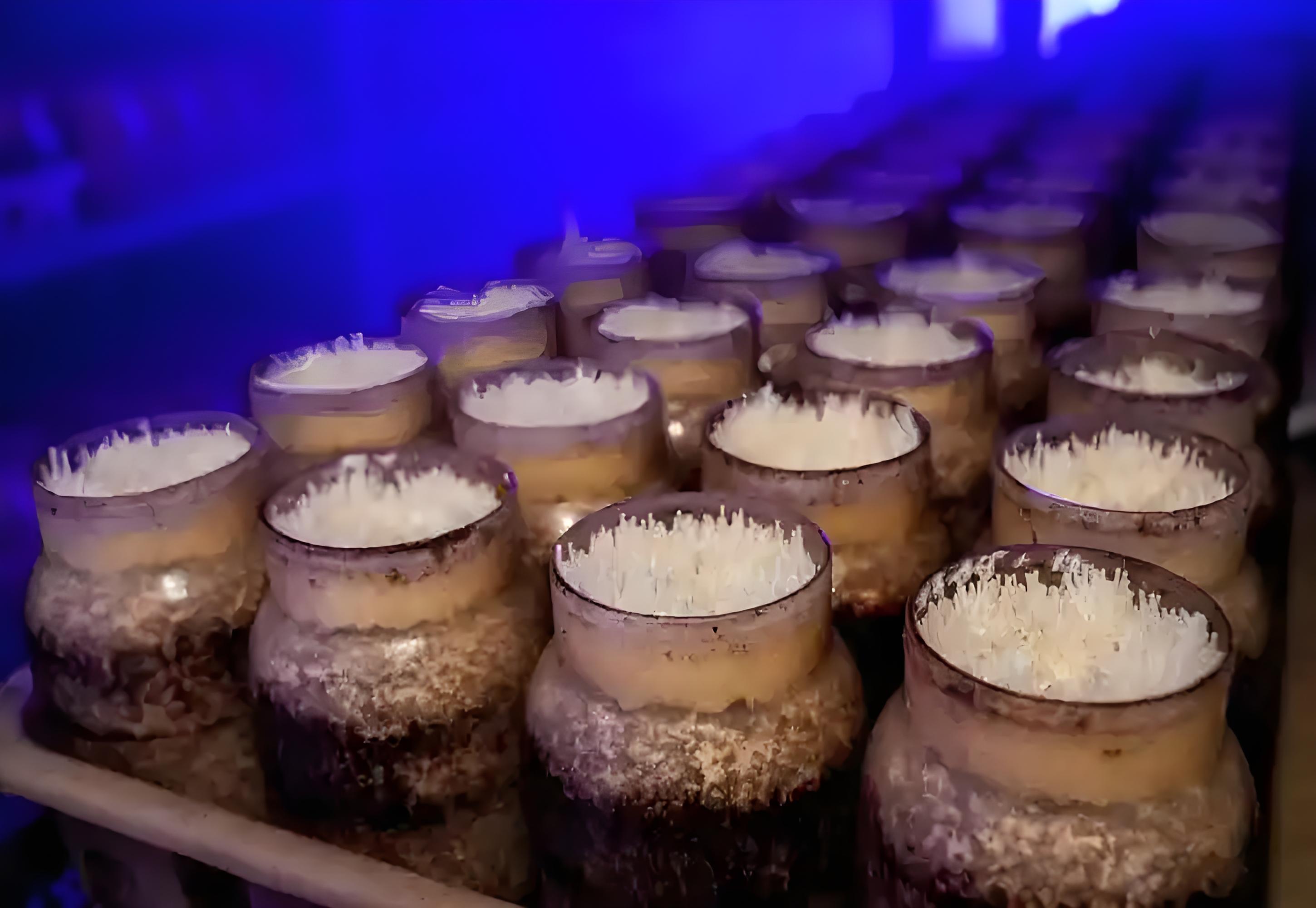 enoki mushroom 5.jpg