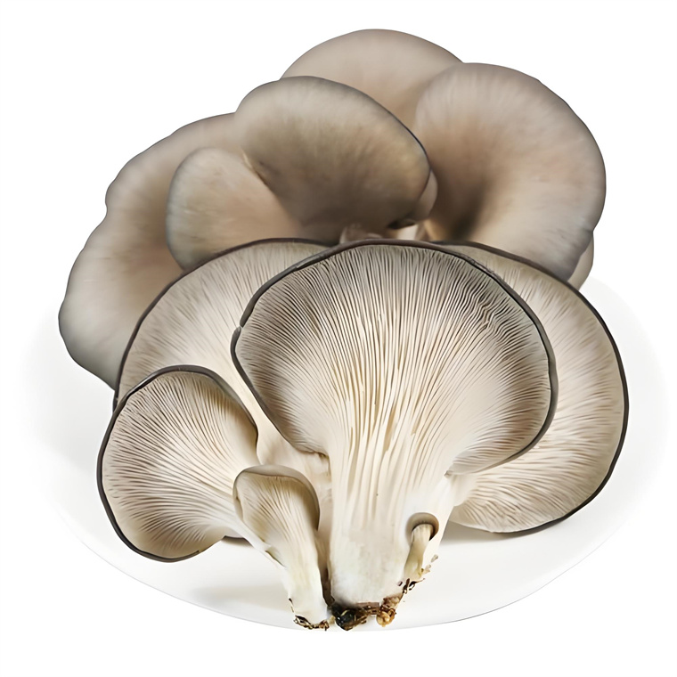 Oyster mushrooms (4)_.jpg Oyster mushrooms (4)_.jpg