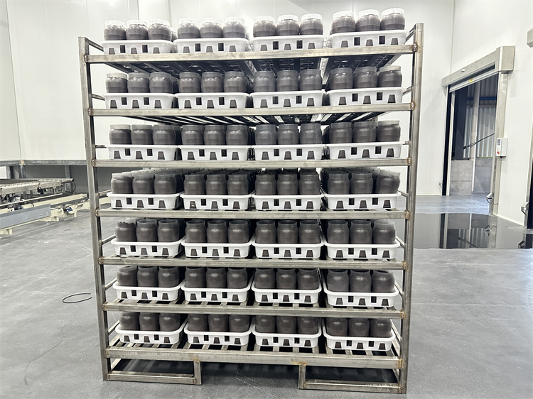 Sterilization of Enoki Mushroom Cultivation Bottles (Bags)