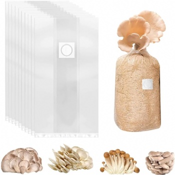 mushroom growing bag